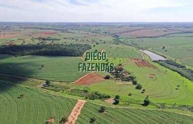 Imagem: A fazenda está localizado em Palestina, SP à venda por R$18.000.000
