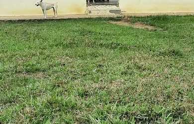 Imagem 2: Vendo uma maravilhosa Fazendinha Em Jaguaripe