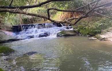 Imagem 13: Fazenda 7 Alqueires Anicuns