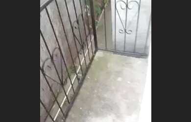 Imagem 4: Aluga se. Varanda, 90m² de Área, 1 Vaga na garageme2 Dormitórios