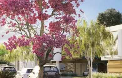 Imagem: O terreno está localizado em Beira Rio, Biguaçu à venda por