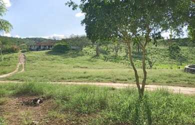 Imagem 10: FAZENDA EM BOS VISTA DO TUPIM - 2666 TAREFAS