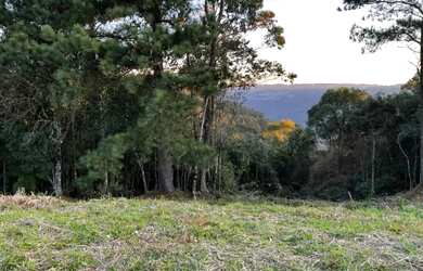 Imagem: O terreno possui 250m² de Área e está localizado em Dante