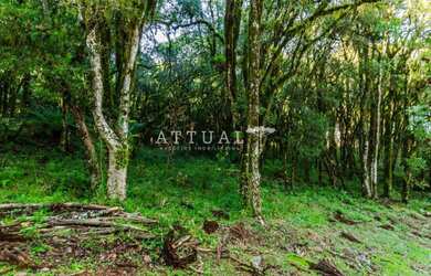 Imagem 5: TERRENO EM CONDOMÍNIO COM PROJETO APROVADO