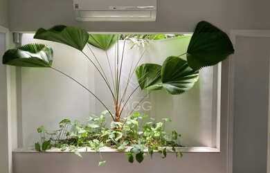 Imagem 6: Casa Parque Res. Alcantara