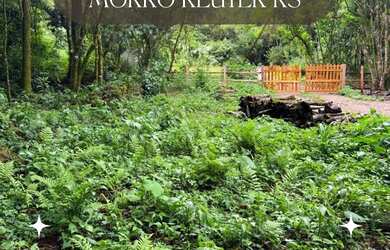 Imagem: A chácara possui 5000m² de Área e está localizado em Parobé