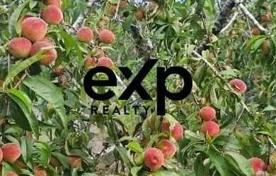 Imagem: A fazenda possui 6.050m² de Área e está localizado em Agudos