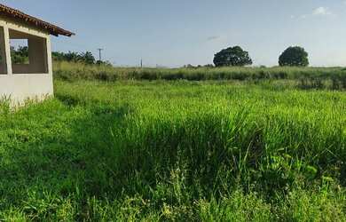 Imagem 2: R$2 milhões 100 hectares nas margens da Pa há 58 km de Castanhal