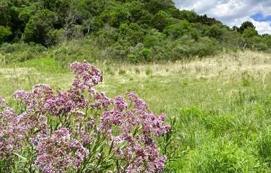 Imagem: O terreno possui 10000m² de Área e está localizado em Urubici