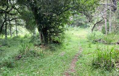 Imagem 4: Terreno de 2 hectare em Urubici