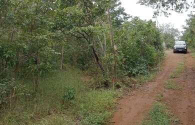 Imagem: A chácara possui 4.000m² de Área e está localizado em Palmas
