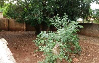 Imagem 10: Casa antiga 117m Terreno 440m - Vila Perino Ourinhos SP