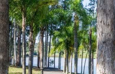 Imagem 9: Vendo terreno com excelente localização