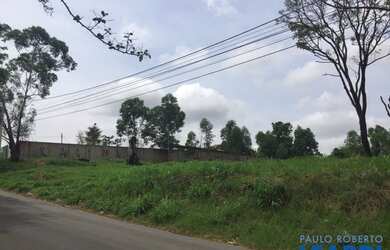 Imagem 9: TERRENO - COUNTRY CLUB - SP