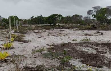 Imagem 3: Estou vendendo um terreno de 1.000 m² a mil metros da praia