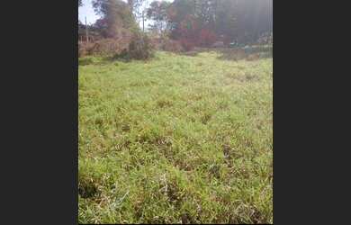 Imagem 14: Lote/Terreno para venda possui 1000 metros quadrados em Pião - Piracaia - SP