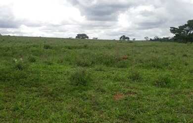 Imagem 8: Fazenda 148 Alqueires, Região São Jose Rio Preto-Sp