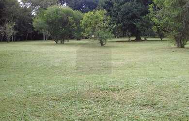 Imagem 11: terreno - Tuiuti - Tuiuti