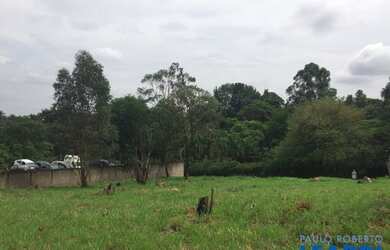 Imagem 2: TERRENO - COUNTRY CLUB - SP