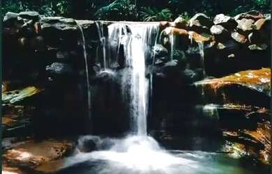 Imagem 4: Venha você e sua família conhecer este lindo terreno