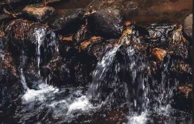 Imagem 5: Terreno para sítio/chácara