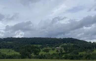 Imagem 11: Fazenda 7 Alqueires Anicuns