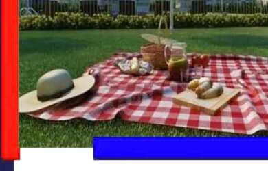 Imagem 6: Vista das Paineiras / Apartamento 2 qts na Região do Planalto