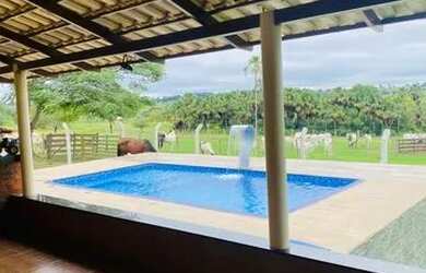 Imagem 6: Fazenda 7 Alqueires Anicuns