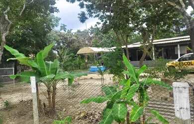 Imagem 4: Serra da mesa niquêlandia