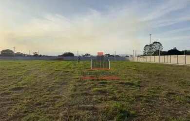 Imagem 3: Terreno à venda, 250 m² por R$ 285.000,00 - Jardim das Flores - São...