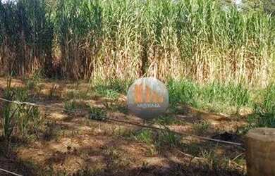 Imagem 13: Fazenda à venda, 62.92 hectares por R$ 2.400.000 - Zona Rural - Luziânia/GO