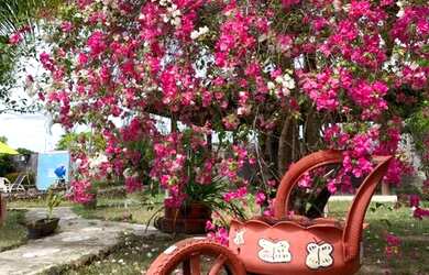 Imagem 3: Casa com piscina para temporada Mosqueiro