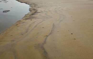 Imagem 6: Lote Praia Mar. 330m² de Área