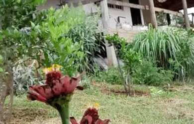 Imagem 2: Linda chácara para venda próximo a São Lourenço - MG