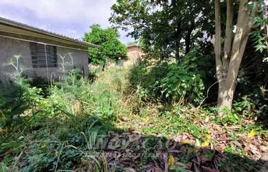 Imagem 4: Terreno Desvio Rizzo Caxias do Sul