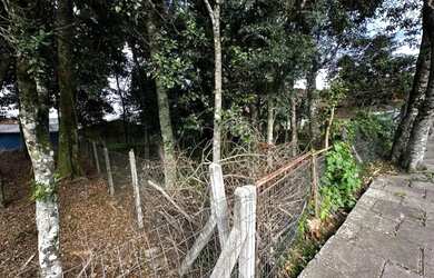 Imagem 6: Terreno - Bairro Belvedere