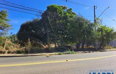 Imagem 9: TERRENO - CHÁCARAS SILVANIA - SP