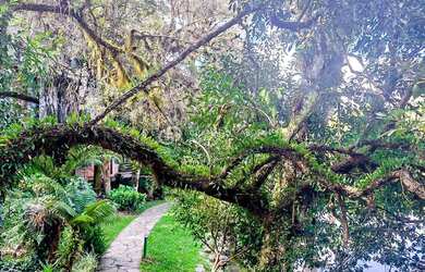 Imagem 14: TERRENO NO CONDOMINIO LAGOS DE GRAMADO
