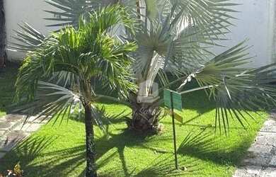 Imagem 9: Casa Espetacular a Venda em Itaipuaçu