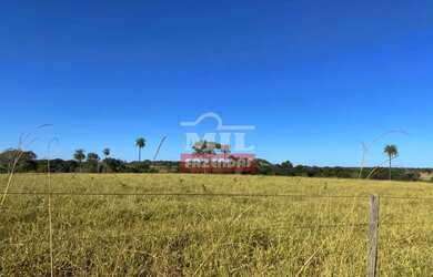 Imagem 15: Fazenda 68 alqueires 329 hectares Campos Verdes-GO