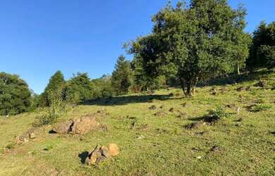 Imagem 16: Área Rural - Bairro Carazal