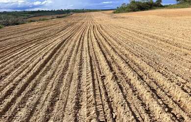 Imagem: A fazenda possui 1.000.000.000m² de Área e está localizado