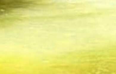 Imagem 4: Vendo linda fazenda em localizada em Manoel Urbano 650 hectares