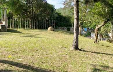 Imagem 3: TERRENO COM ESCRITURA EM SUZANO