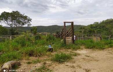 Imagem 10: Fazenda no município de Santa Cruz de Goiás com 83 alqueires para cria...