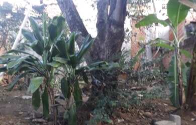 Imagem 5: Casa com quintal. Varanda, 2 Banheirose3 Dormitórios