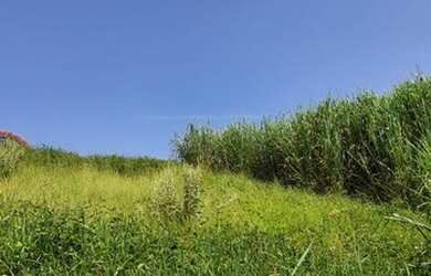 Imagem 9: AREA - JARDIM DIAMANTE - SP