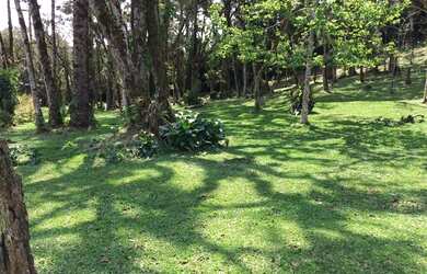 Imagem: A chácara possui 42.000m² de Área e está localizado em