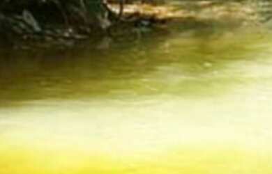 Imagem 5: Vendo linda fazenda em localizada em Manoel Urbano 650 hectares