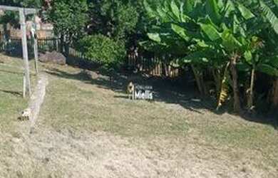 Imagem: O terrenoe possui 300-0m² de Área está localizado em Fiuza